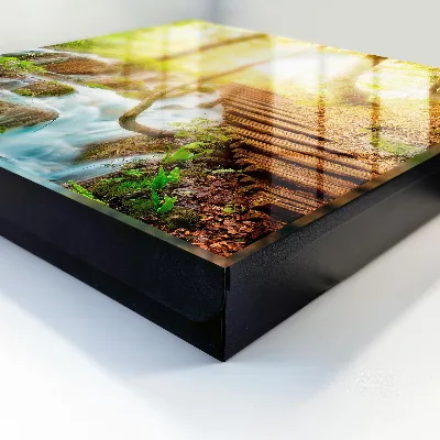 Forest nook Key box for wall