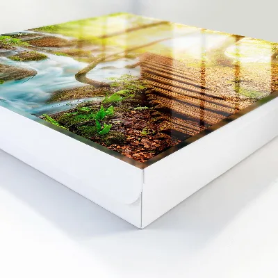Forest nook Key box for wall