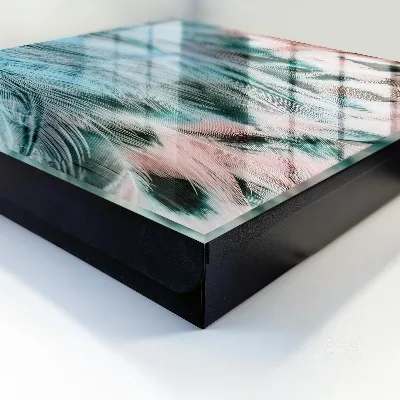 Pastel feathers Key cabinet