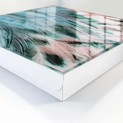 Pastel feathers Key cabinet