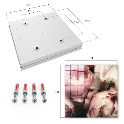 Rose beauty Key box for wall