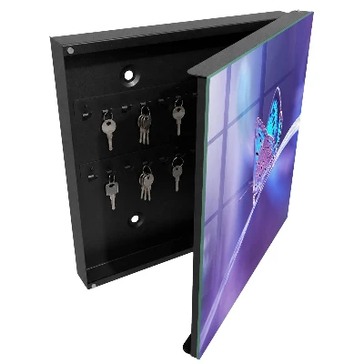 Colorful butterfly Wall mounted key box