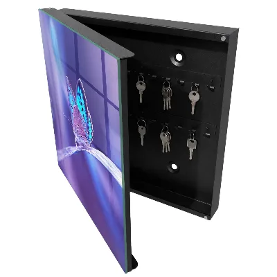 Colorful butterfly Wall mounted key box