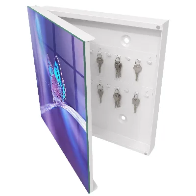 Colorful butterfly Wall mounted key box