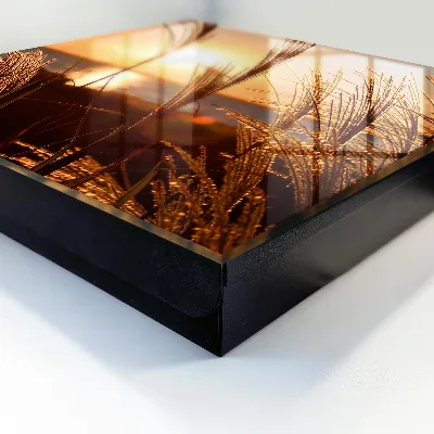 Sunset Key cabinet
