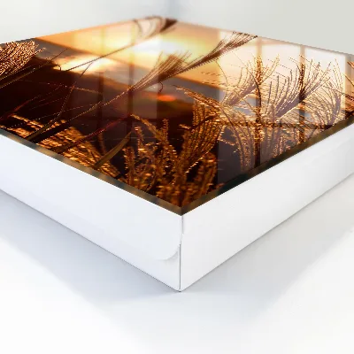 Sunset Key cabinet