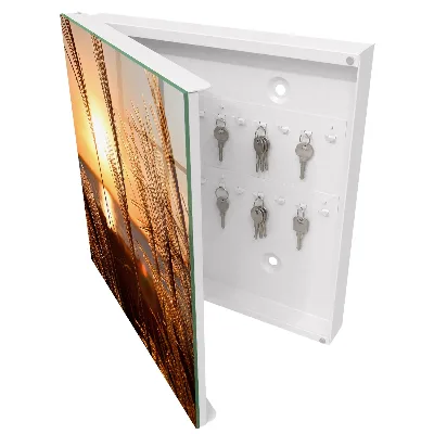 Sunset Key cabinet