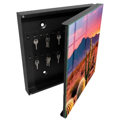 Desert sunset Key cabinet