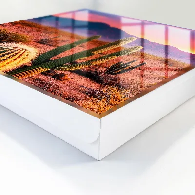 Desert sunset Key cabinet