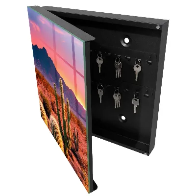 Desert sunset Key cabinet