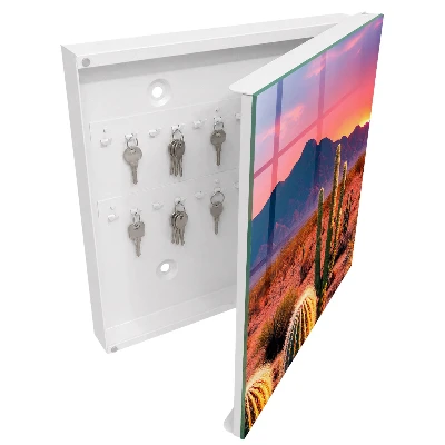 Desert sunset Key cabinet