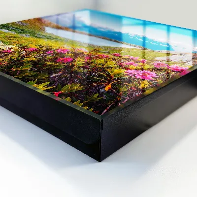 Mountain landscape Key cabinet