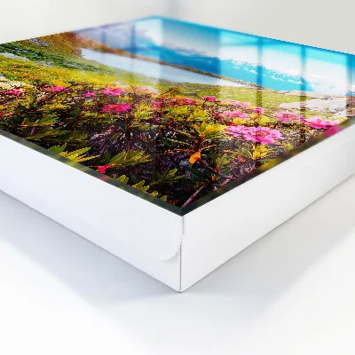 Mountain landscape Key cabinet