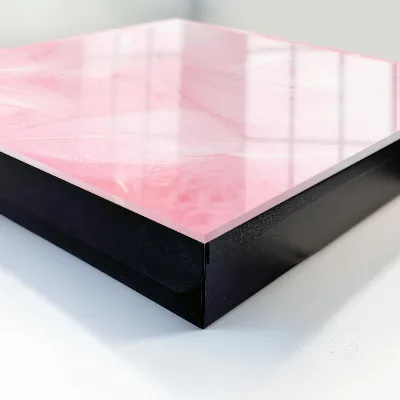Pink feathers Wall mounted key box