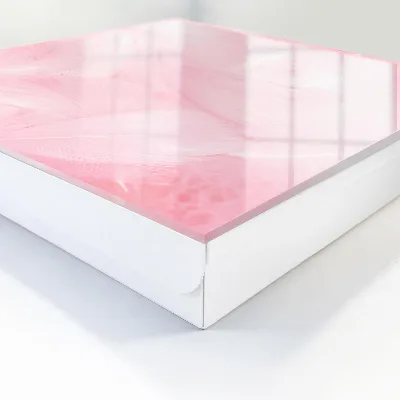 Pink feathers Wall mounted key box