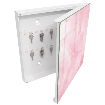 Pink feathers Wall mounted key box