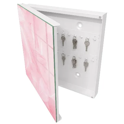 Pink feathers Wall mounted key box
