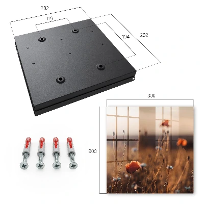 Poppy fields Key box for wall