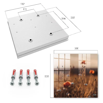 Poppy fields Key box for wall