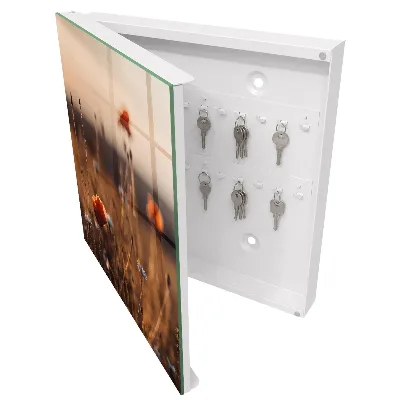 Poppy fields Key box for wall