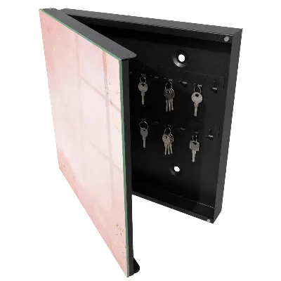 Pastel elegance Wall mounted key box