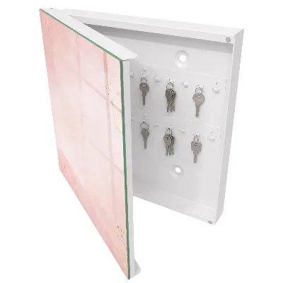 Pastel elegance Wall mounted key box
