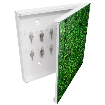 Green garden Key cabinet