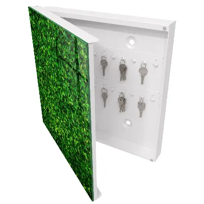 Green garden Key cabinet
