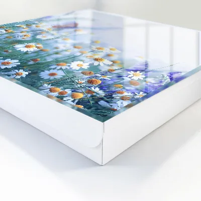 Summer meadow Key cabinet