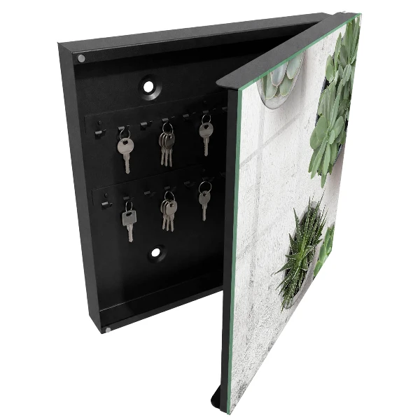 Green succulents Key cabinet