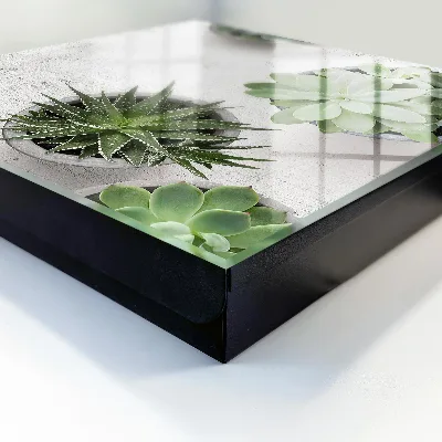 Green succulents Key cabinet