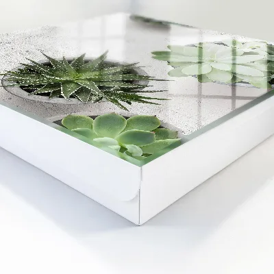 Green succulents Key cabinet