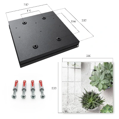 Green succulents Key cabinet