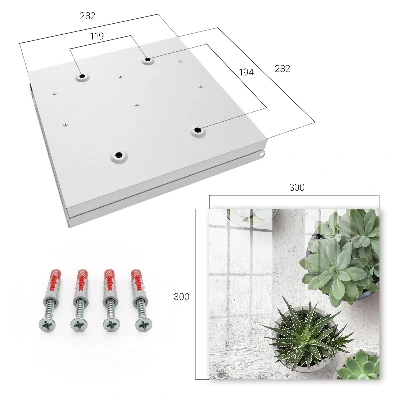Green succulents Key cabinet