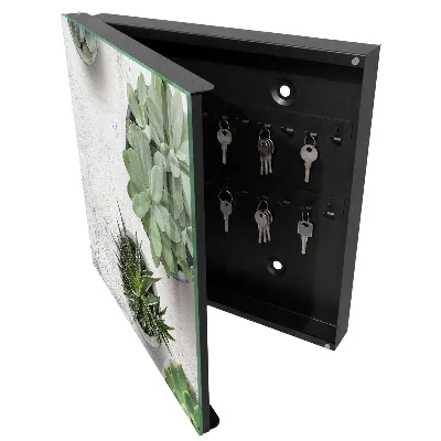 Green succulents Key cabinet