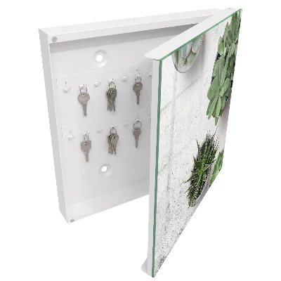 Green succulents Key cabinet