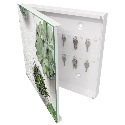 Green succulents Key cabinet