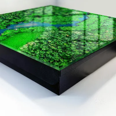 Green forests Key box for wall