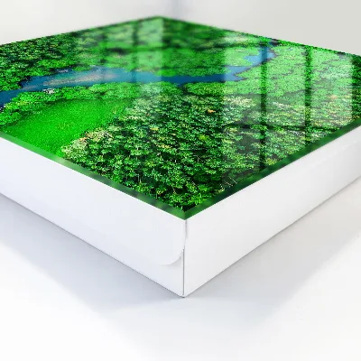 Green forests Key box for wall