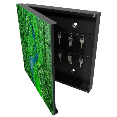 Green forests Key box for wall