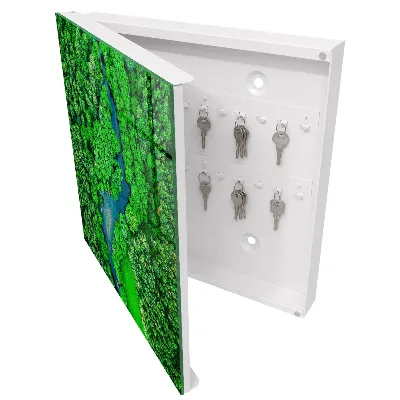 Green forests Key box for wall