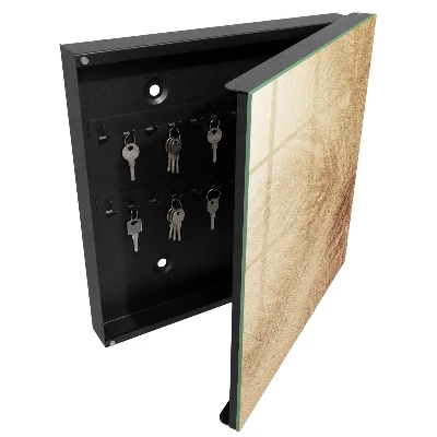 Foamy tracks Key cabinet