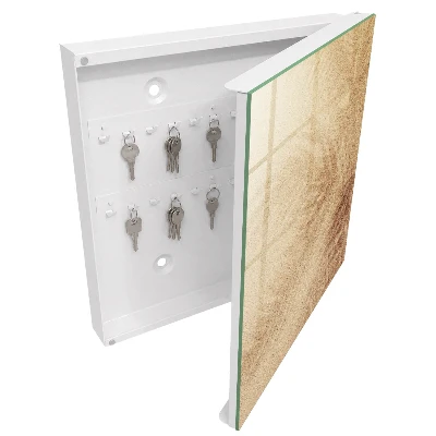 Foamy tracks Key cabinet