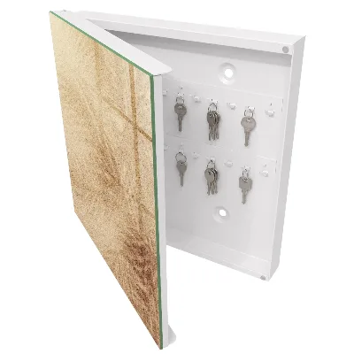 Foamy tracks Key cabinet