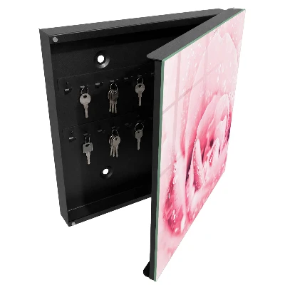 Rose delicacy Key cabinet
