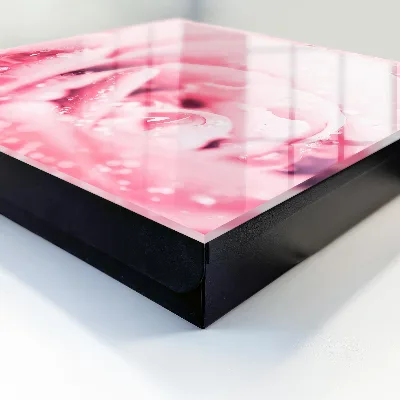 Rose delicacy Key cabinet