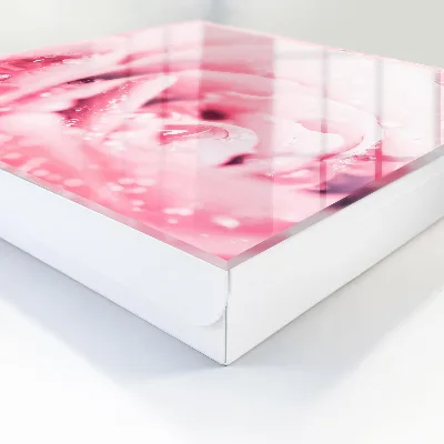 Rose delicacy Key cabinet