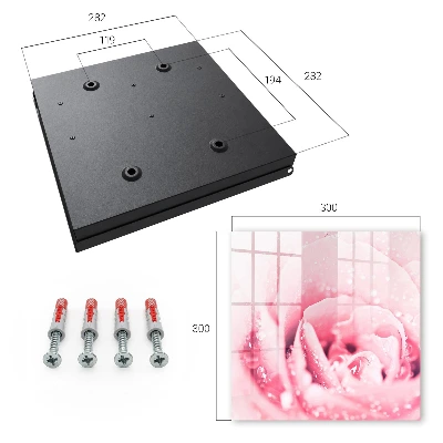 Rose delicacy Key cabinet