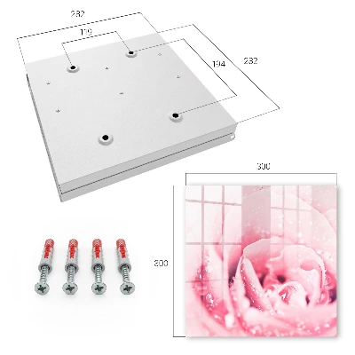 Rose delicacy Key cabinet
