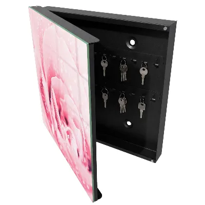Rose delicacy Key cabinet